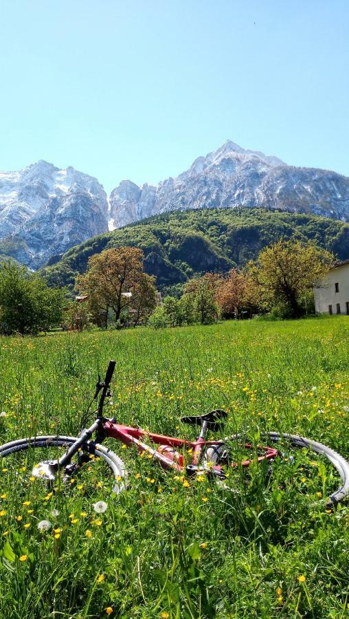 Agritur Airone Bed & Camping Levico Terme Exterior foto